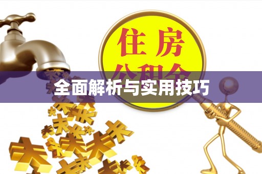 拱墅全面解析与实用技巧
