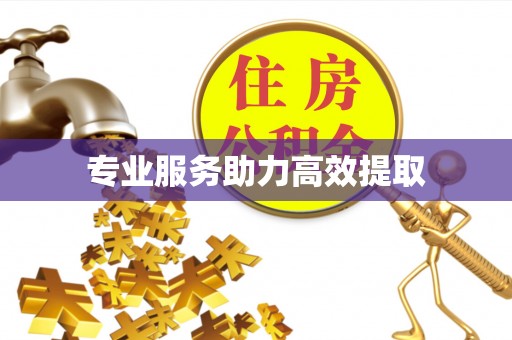 拱墅专业服务助力高效提取